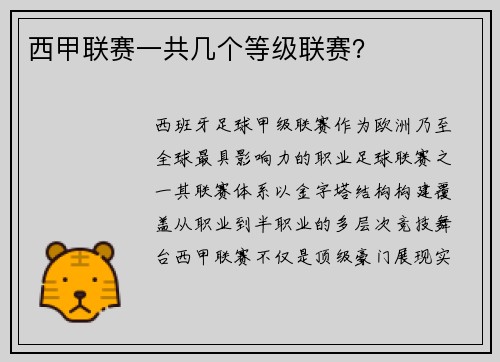 西甲联赛一共几个等级联赛？